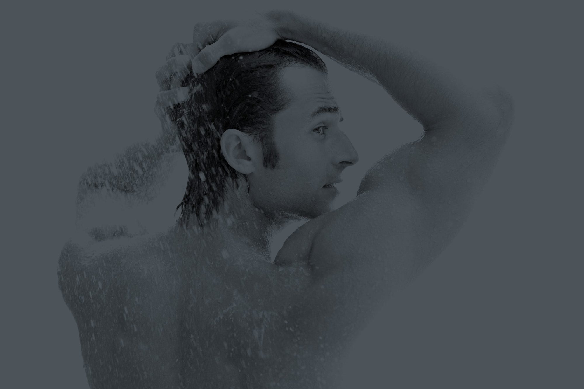 Wild Stone for Men